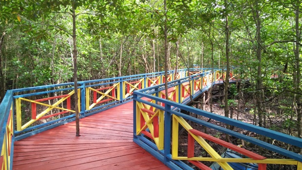 Ekowisata Mangrove Jembatan Pelangi Desa Banglas Raih Penghargaan Nasional